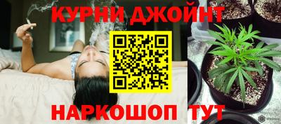 герыч Кингисепп