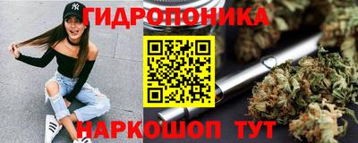 jwh Кинель